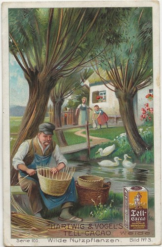 221 sammelbild beruf - sammelbild,