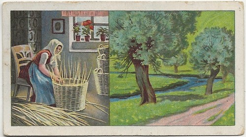400 sammelbild flechten - 69/400,